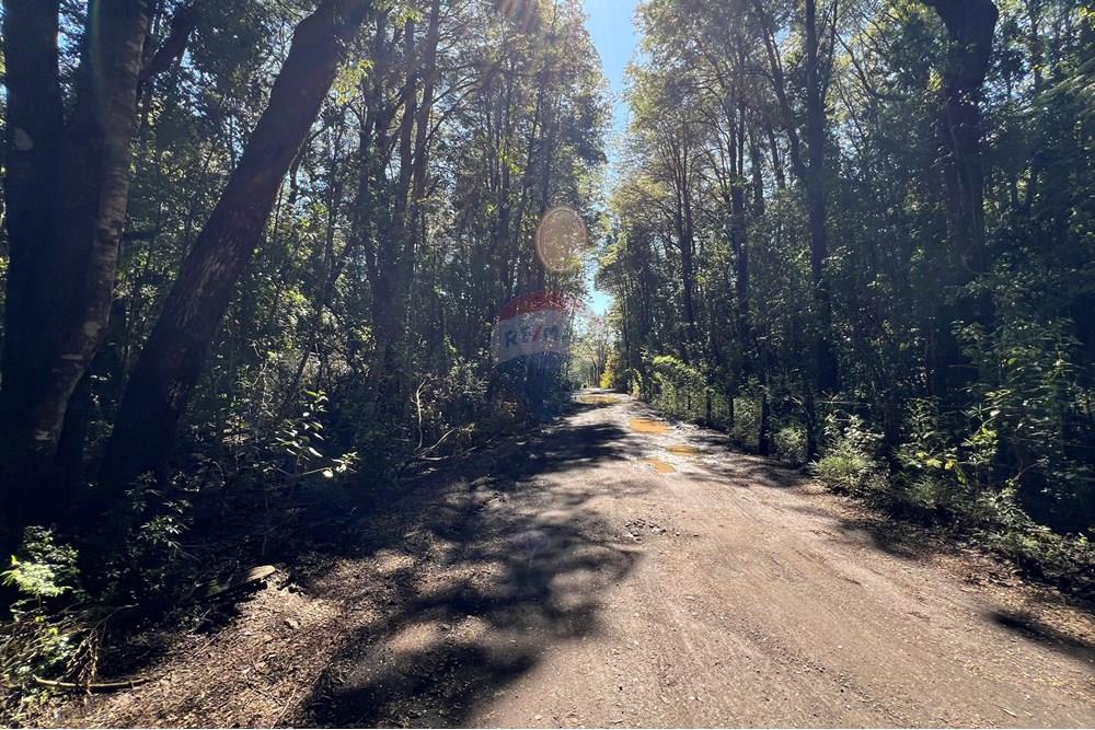 Terreno en venta en Pucón — foto 8