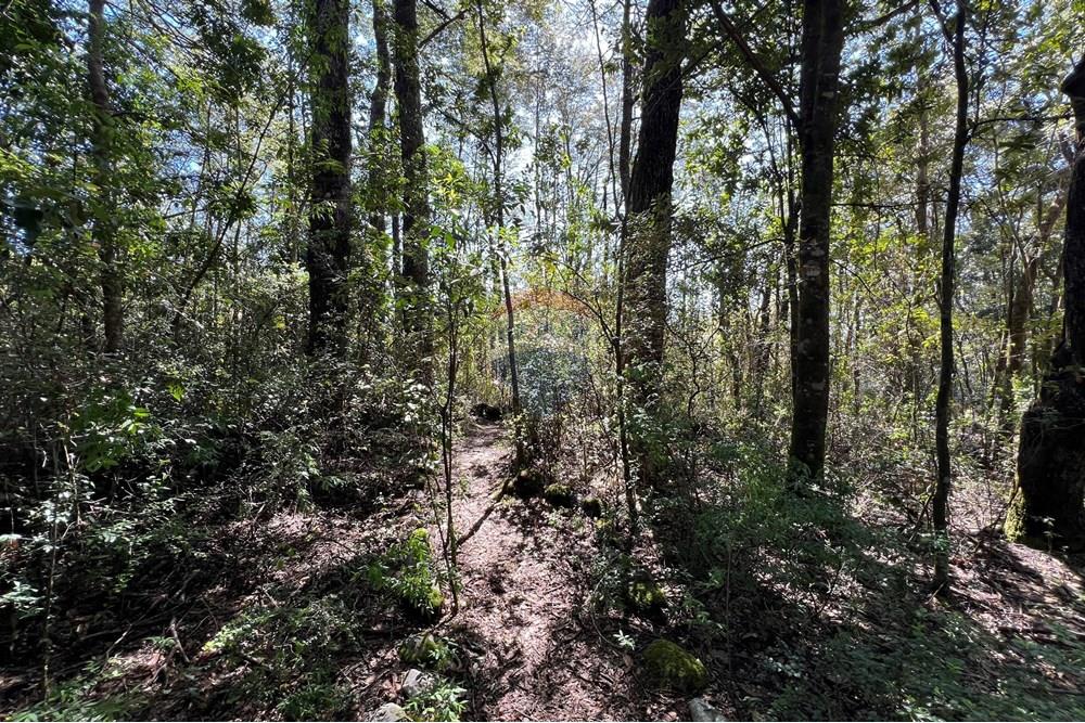 Terreno en venta en Pucón — foto 9