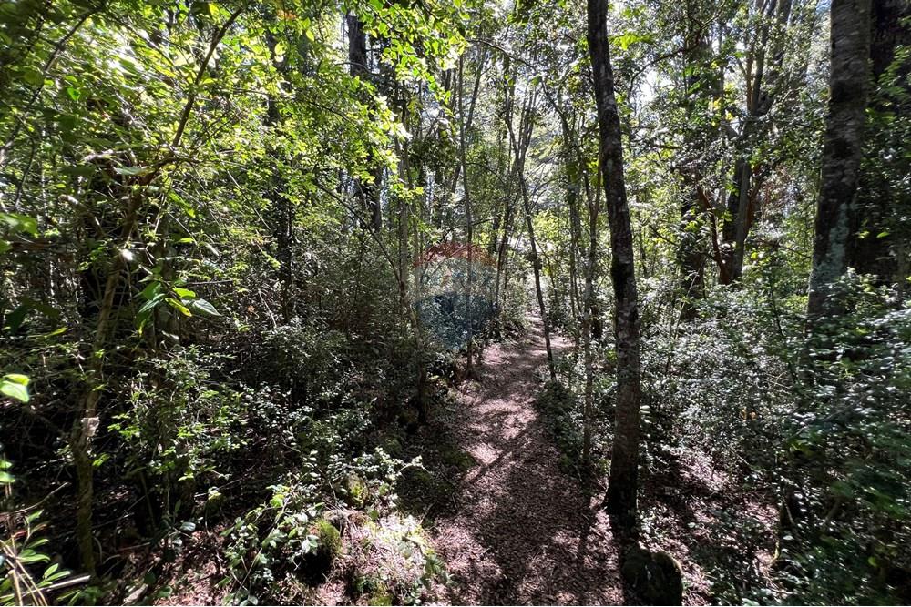 Terreno en venta en Pucón — foto 10