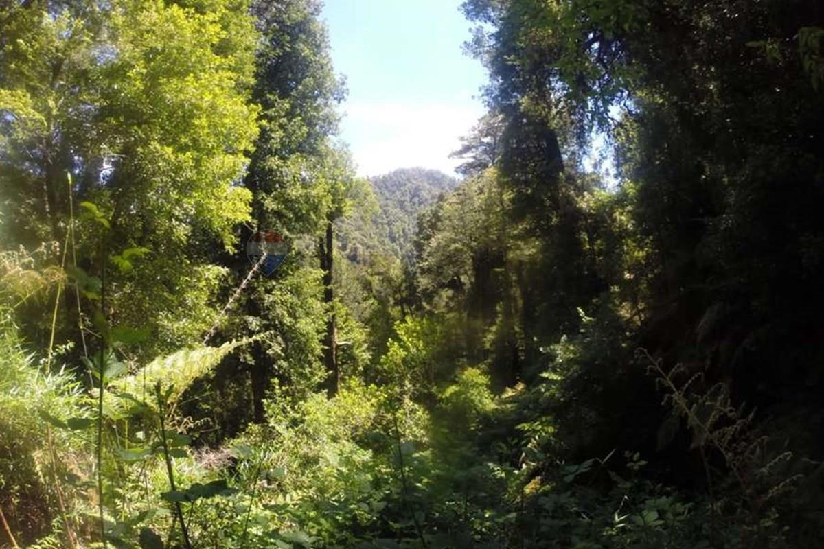 Terreno en venta en Pucón — foto 4