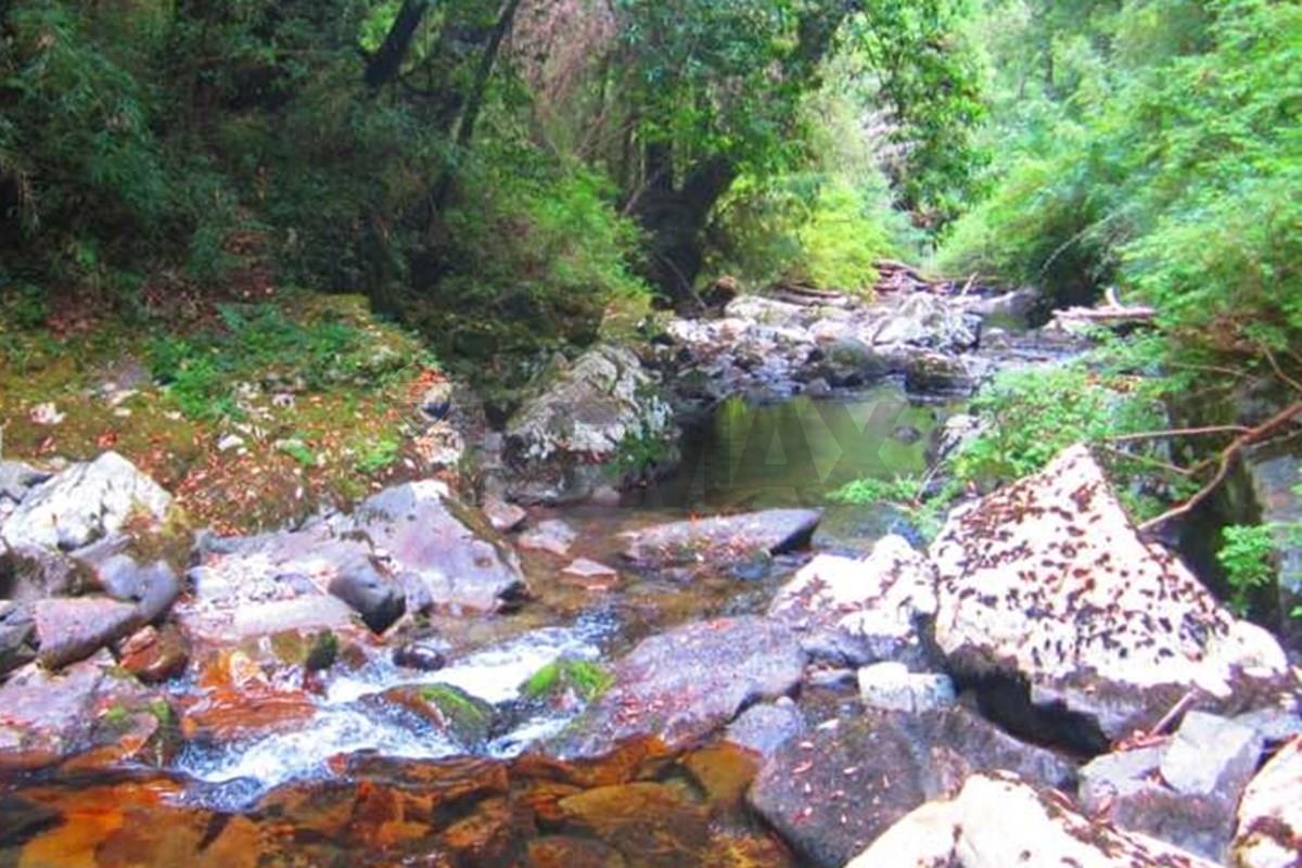 Terreno en venta en Pucón — foto 6