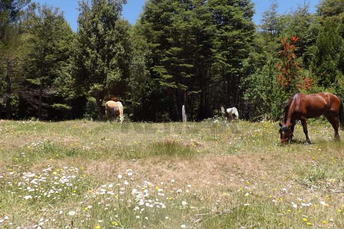 Terreno en venta en Pucón — foto 7