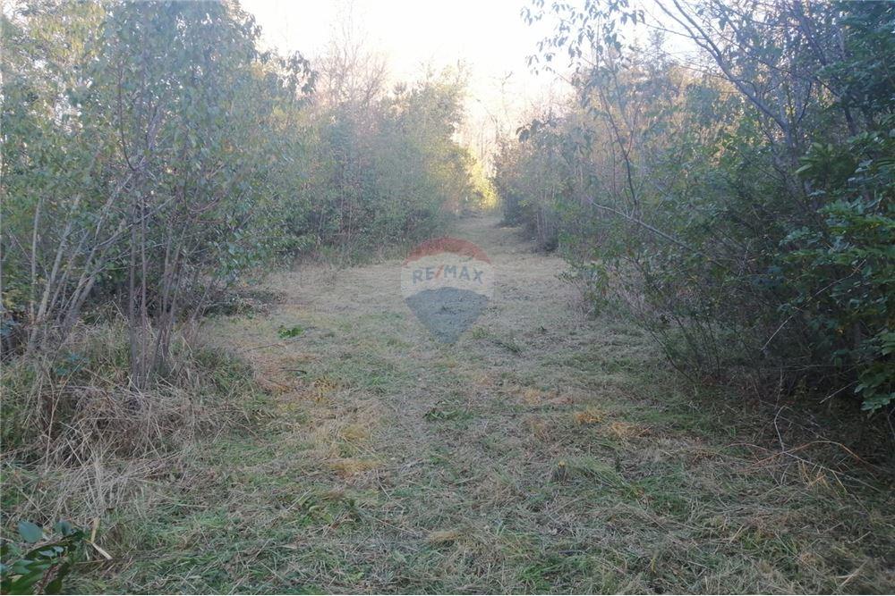 Terreno en venta en Pucón — foto 3