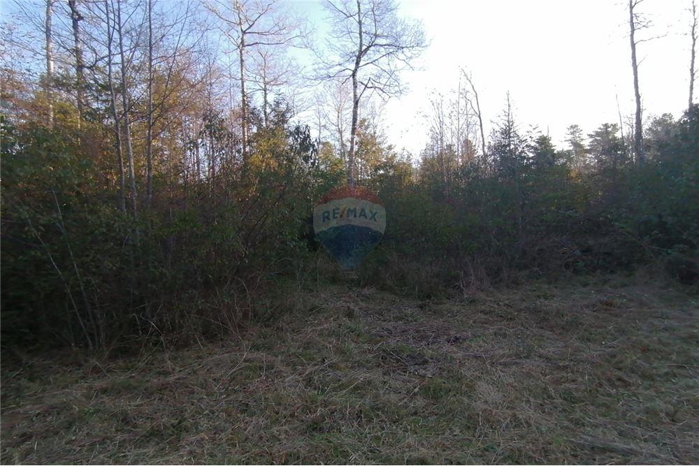 Terreno en venta en Pucón — foto 4