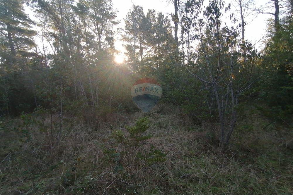 Terreno en venta en Pucón — foto 5