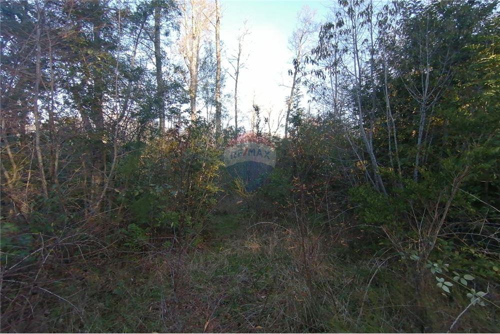 Terreno en venta en Pucón — foto 6