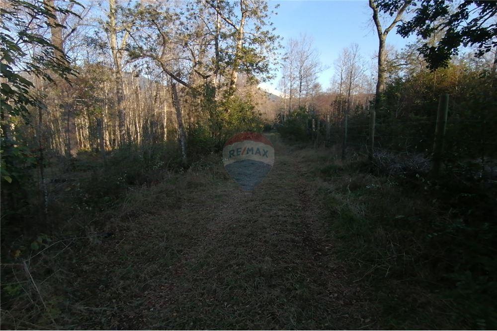 Terreno en venta en Pucón — foto 7