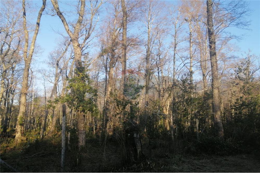 Terreno en venta en Pucón — foto 10