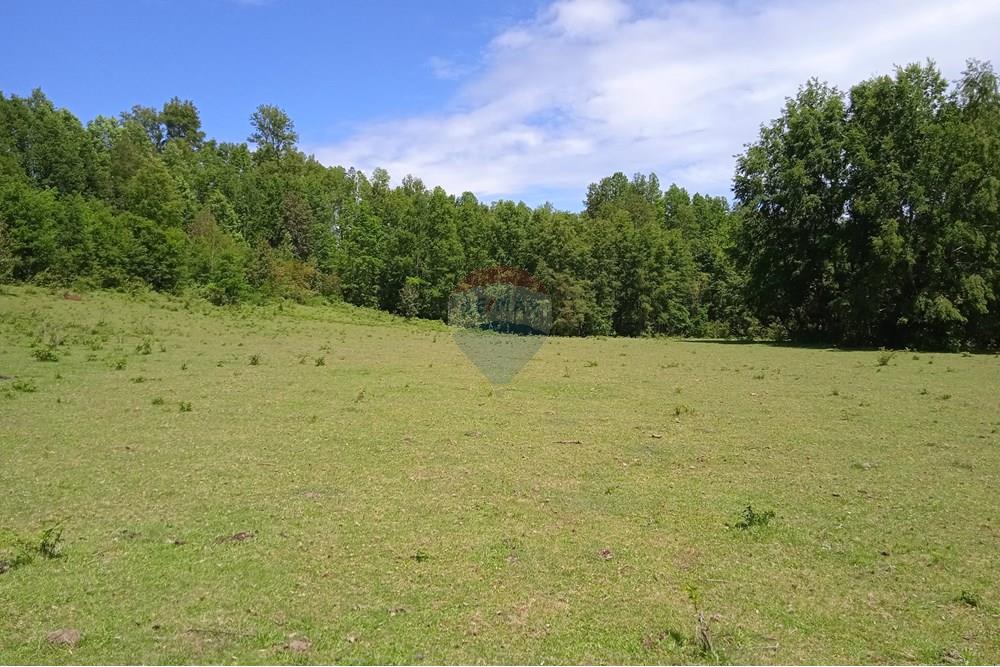 Parcela en venta en Villarrica — foto 4