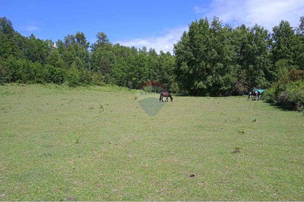 Parcela en venta en Villarrica — foto 5