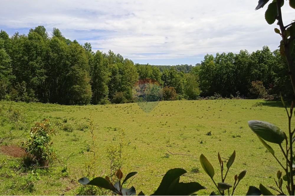 Parcela en venta en Villarrica — foto 6