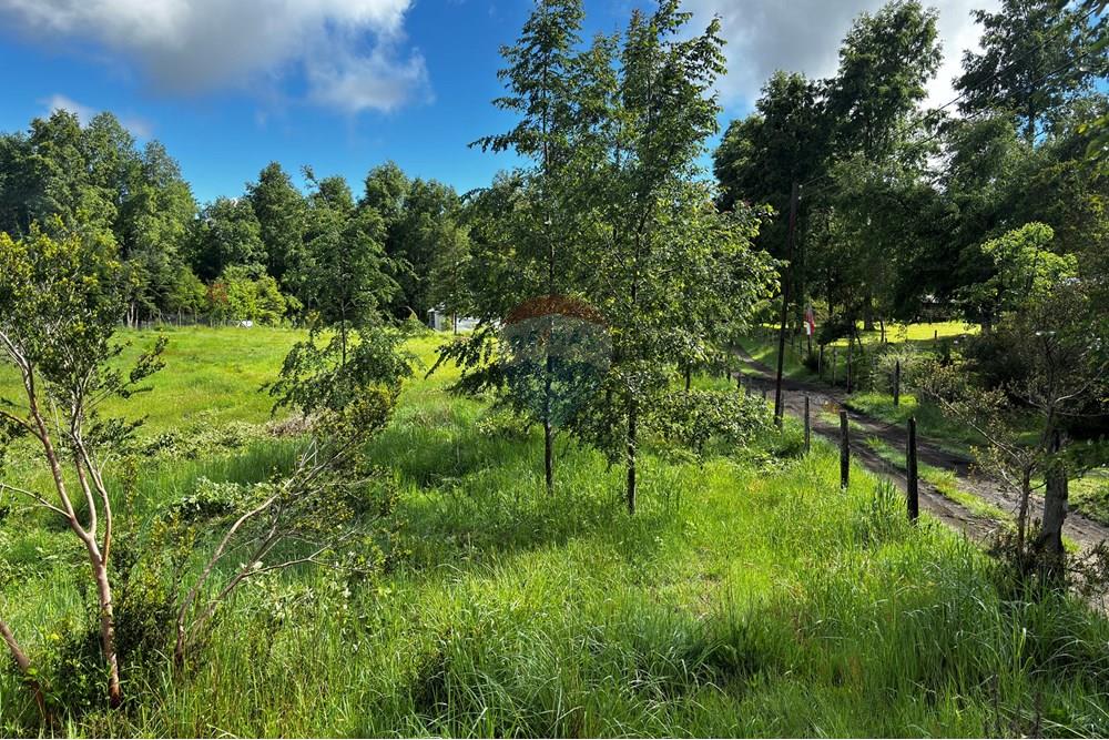Terreno en venta en Pucón — foto 1