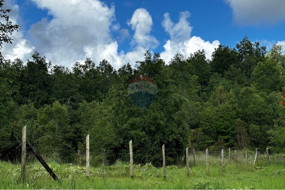 Terreno en venta en Pucón — foto 4
