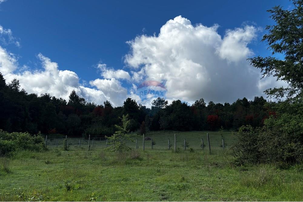 Terreno en venta en Pucón — foto 5