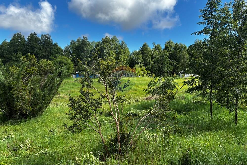Terreno en venta en Pucón — foto 6