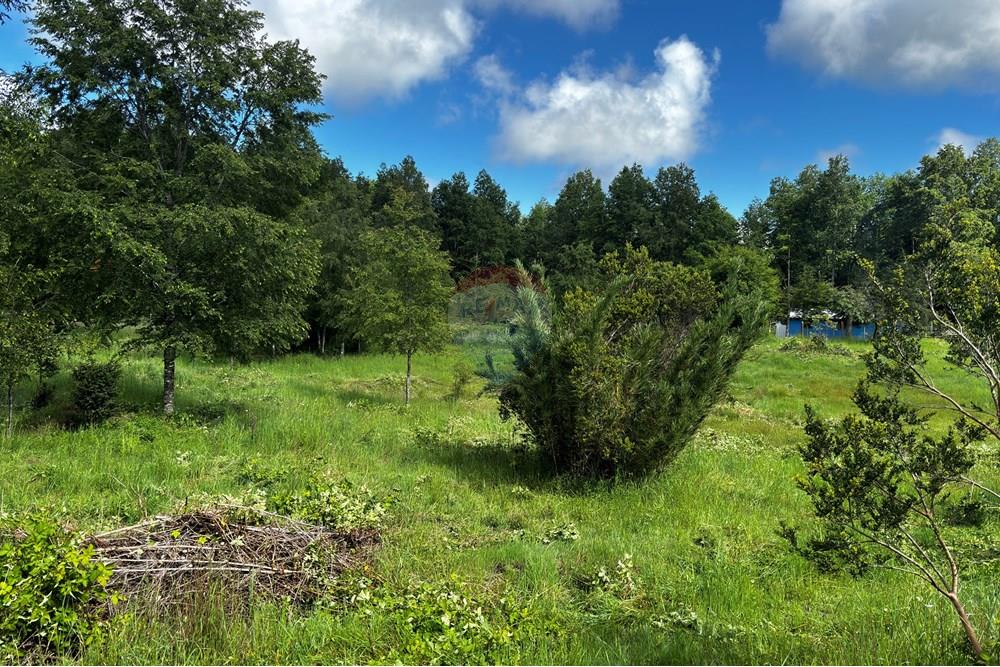 Terreno en venta en Pucón — foto 7