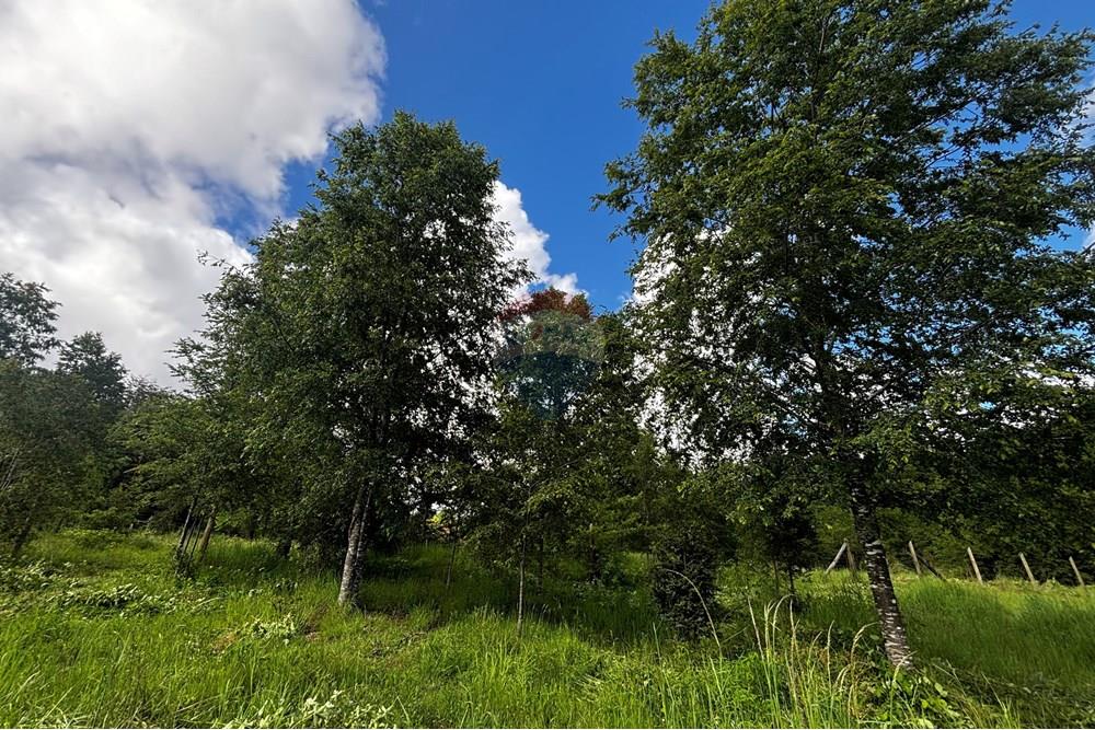 Terreno en venta en Pucón — foto 9