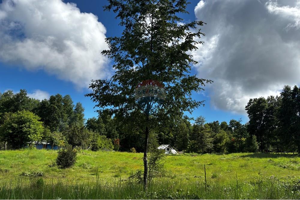 Terreno en venta en Pucón — foto 10