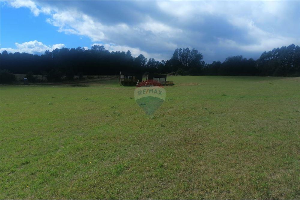 Terreno en venta en Pucón — foto 4