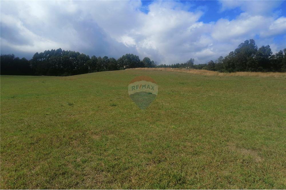 Terreno en venta en Pucón — foto 7