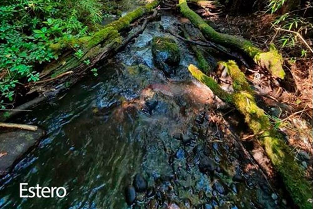 Terreno en venta en Pucón — foto 8