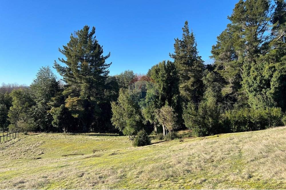 Parcela en venta en Villarrica — foto 8