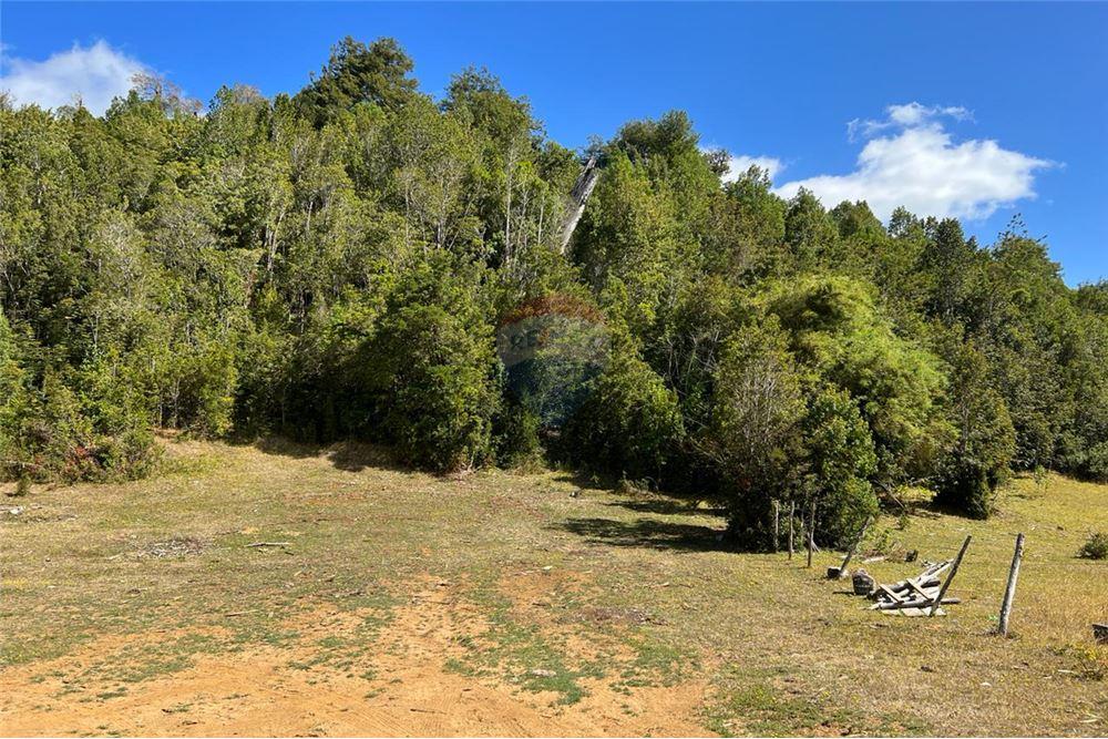 Terreno en venta en San Juan de la Costa — foto 2