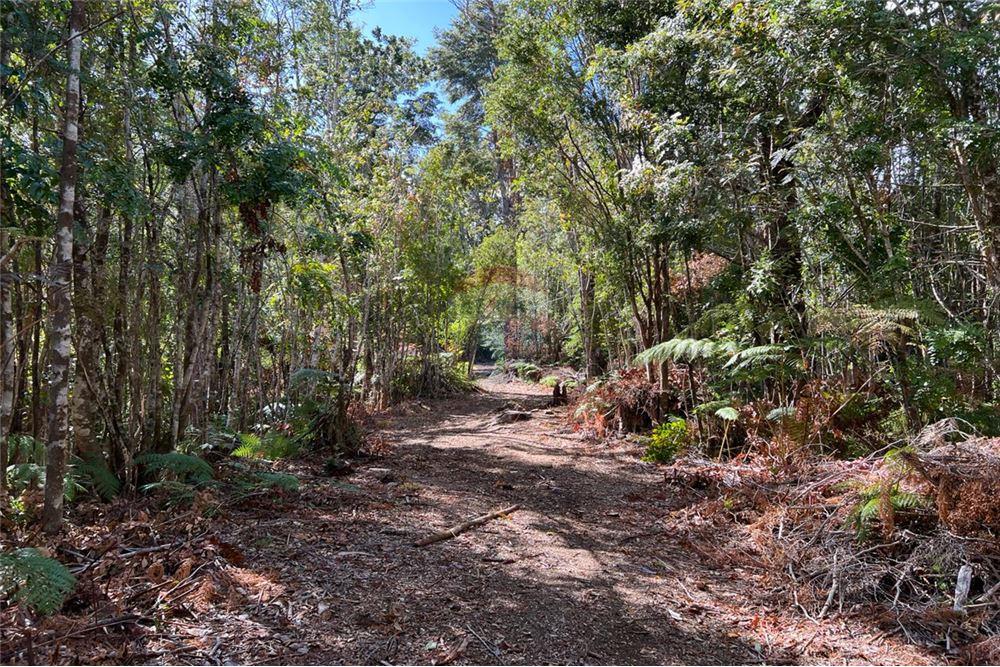 Terreno en venta en San Juan de la Costa — foto 4