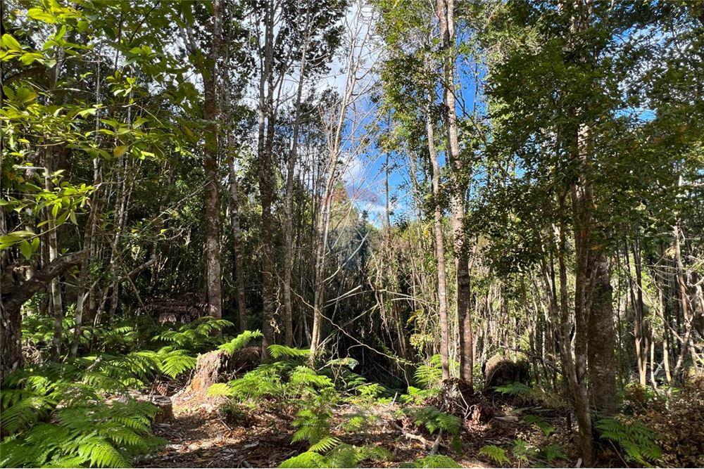 Terreno en venta en San Juan de la Costa — foto 7