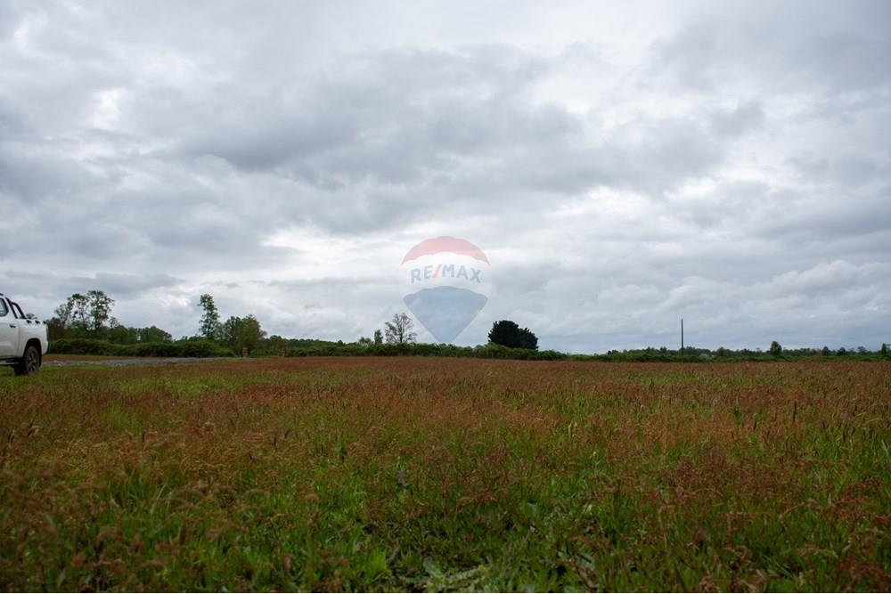 Parcela en venta en La Unión — foto 3