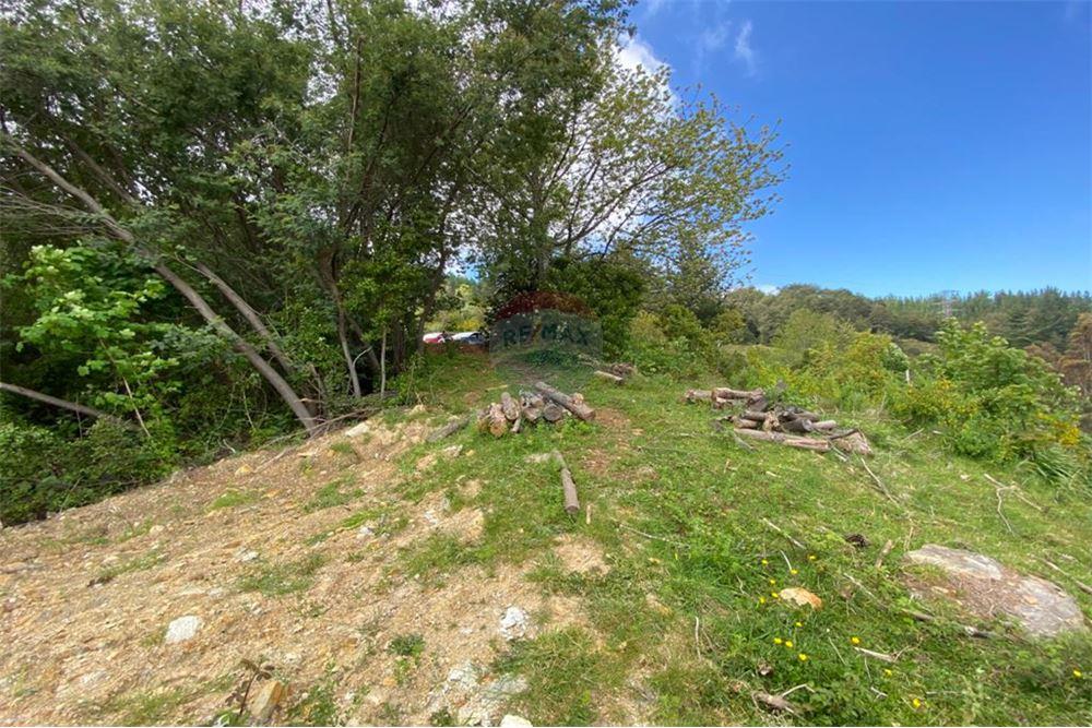 Terreno en venta en Valdivia — foto 1