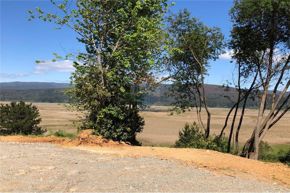 Terreno en venta en Valdivia — foto 6