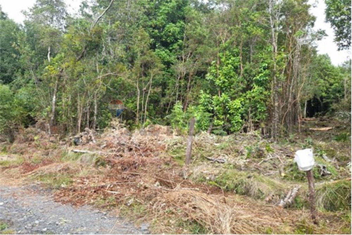 Terreno en venta en Lago Ranco — foto 1