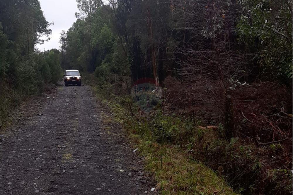 Terreno en venta en Lago Ranco — foto 5