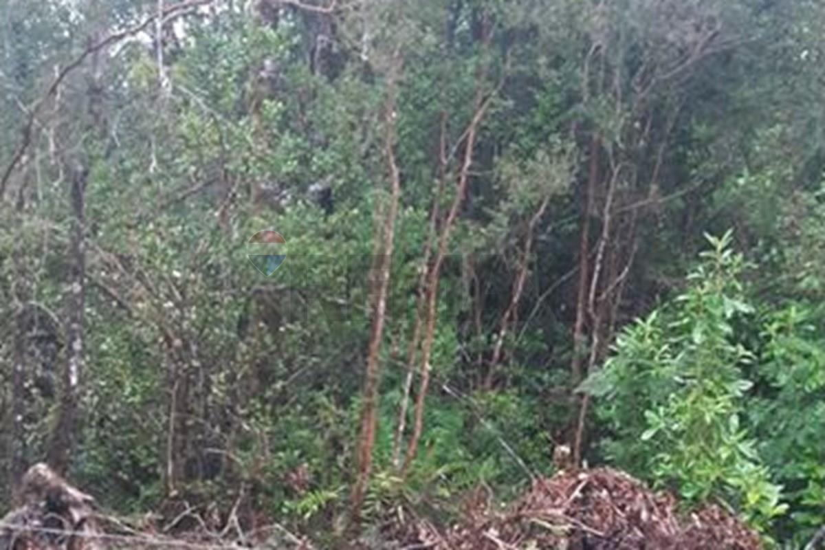 Terreno en venta en Lago Ranco — foto 7