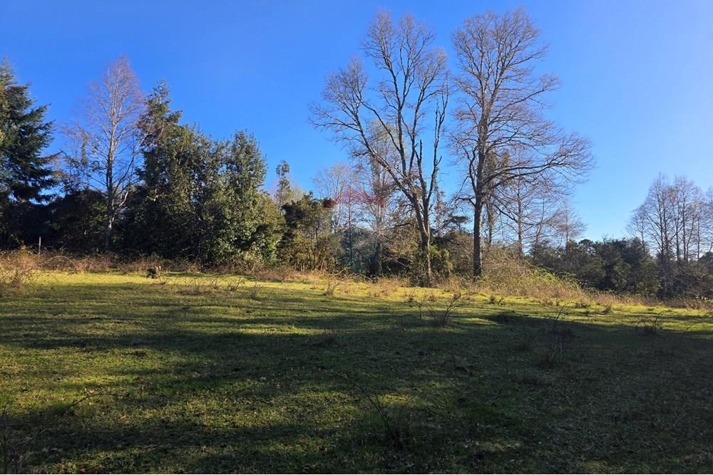 Parcela en venta en Villarrica — foto 1