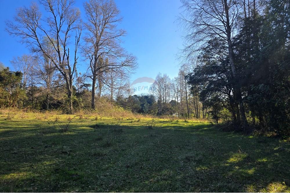 Parcela en venta en Villarrica — foto 2