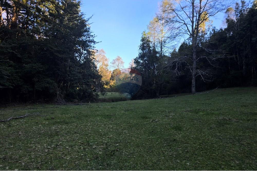 Parcela en venta en Villarrica — foto 4