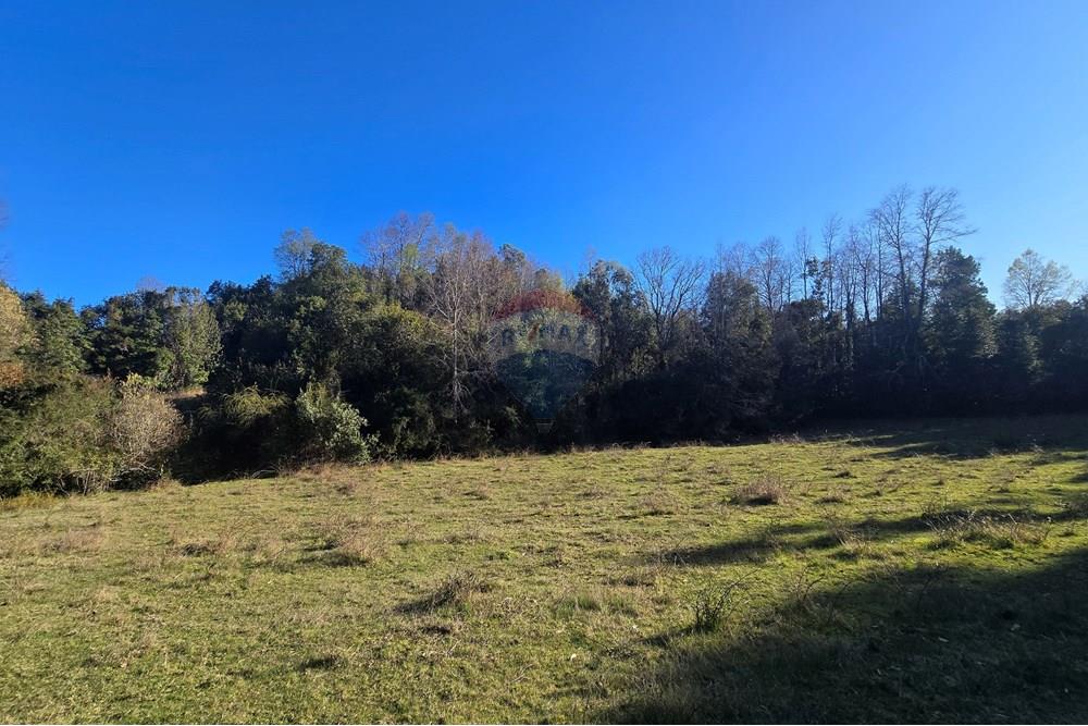 Parcela en venta en Villarrica — foto 5
