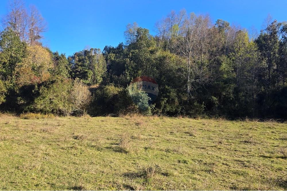 Parcela en venta en Villarrica — foto 7