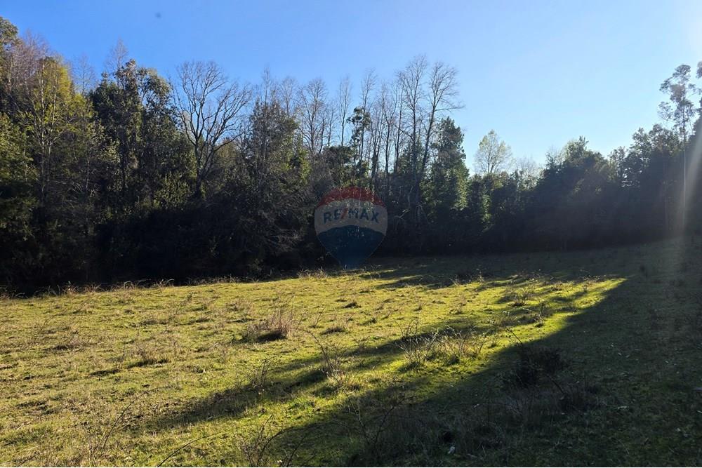 Parcela en venta en Villarrica — foto 9