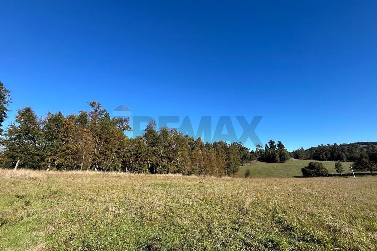 Terreno en venta en Gorbea — foto 3