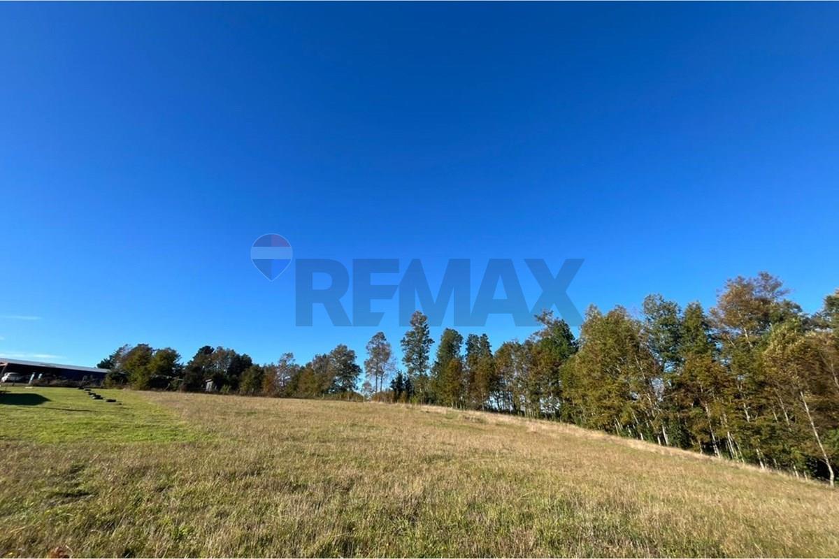 Terreno en venta en Gorbea — foto 4