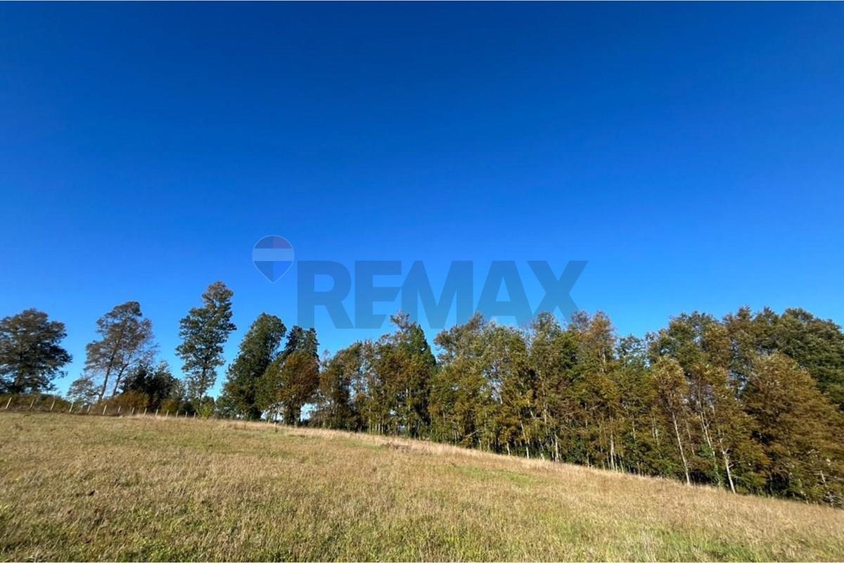 Terreno en venta en Gorbea — foto 5