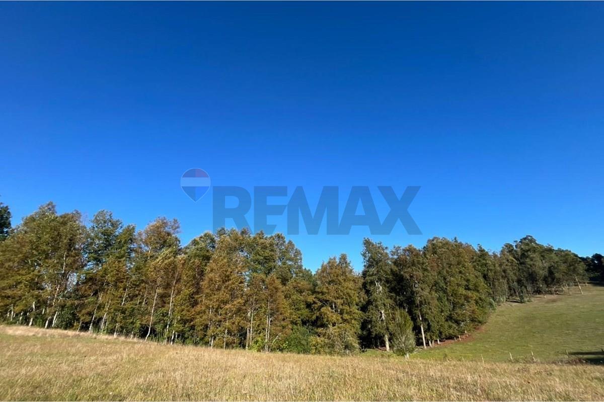 Terreno en venta en Gorbea — foto 6