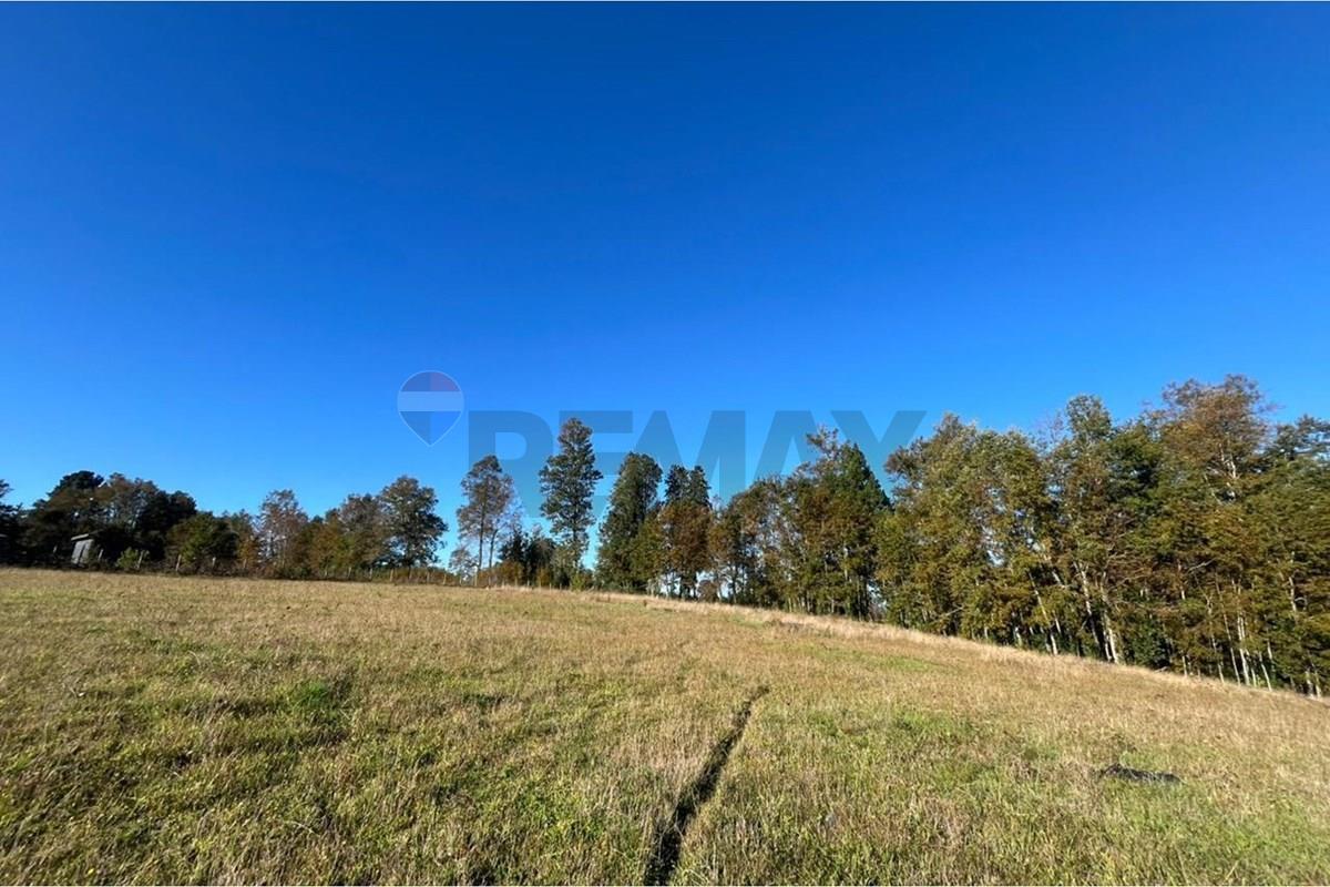 Terreno en venta en Gorbea — foto 7