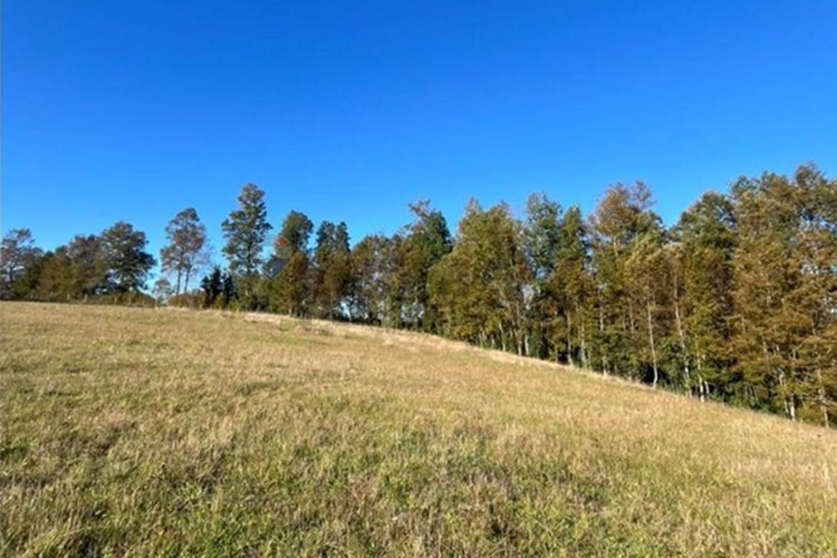 Terreno en venta en Gorbea — foto 8