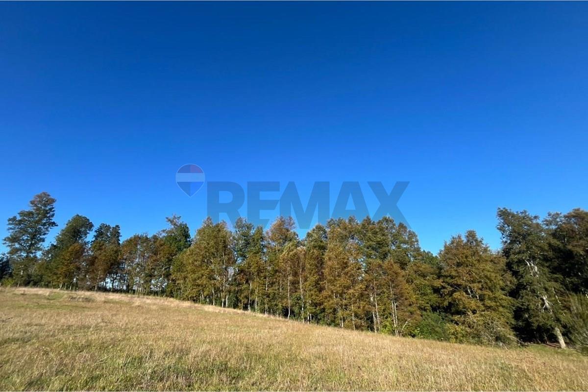 Terreno en venta en Gorbea — foto 9