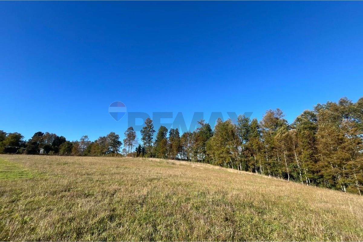 Terreno en venta en Gorbea — foto 10