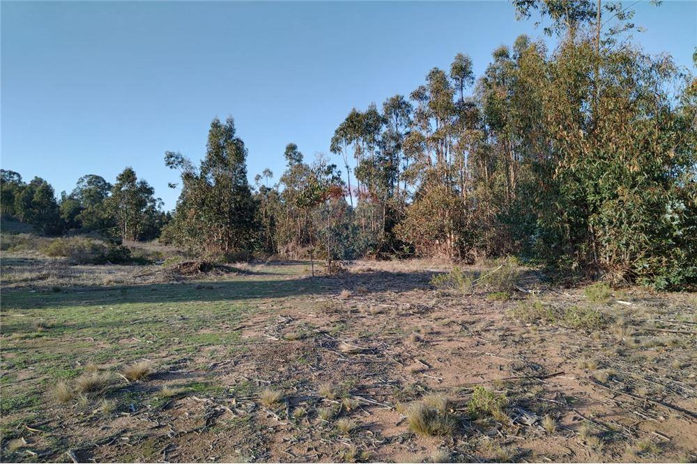Terreno en venta en El Quisco — foto 2